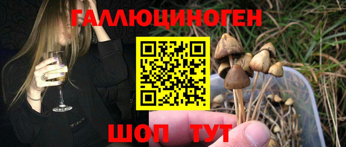 Галлюциногенные грибы Psilocybine cubensis  Вход с VPN  Татарск 